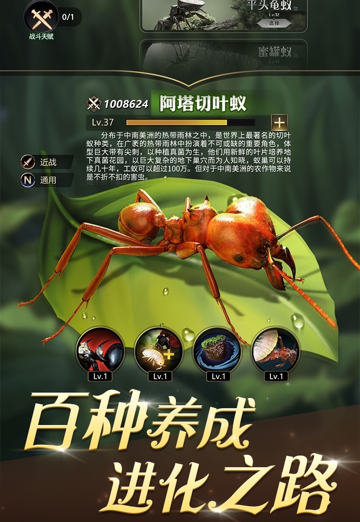 小小蚁国