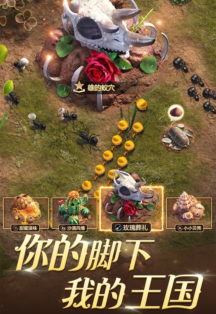 小小蚁国