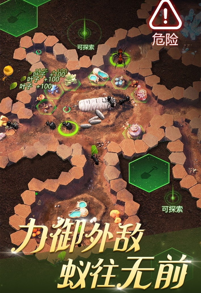 小小蚁国